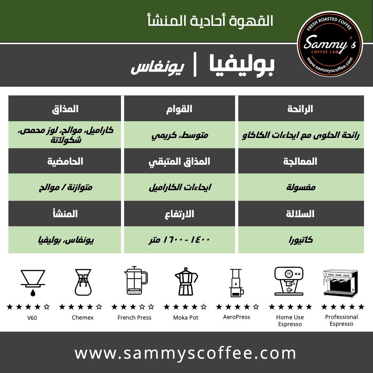 Bolivia Yungas | Andes Mountain - Sammy's Coffee 