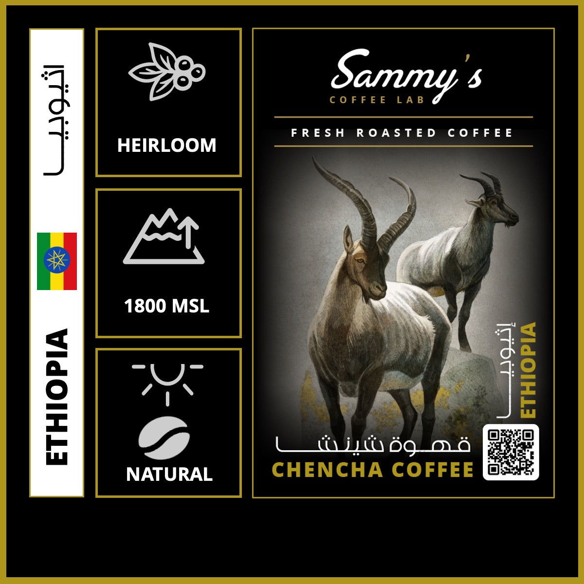 Ethiopia CHENCHA | Single Origin | Sammy's Coffee Lab | Egypt